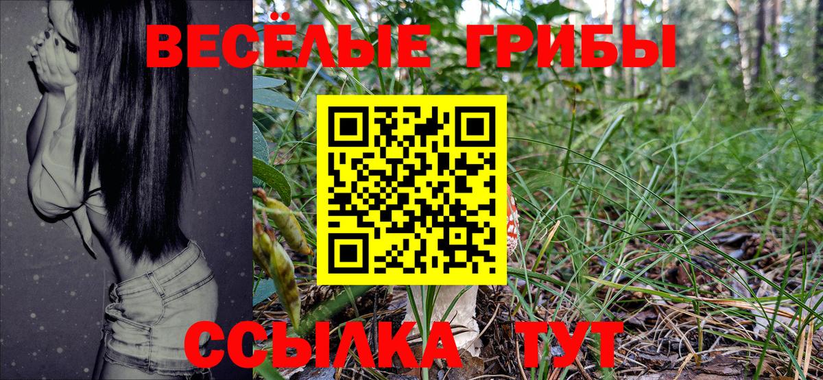 Галлюциногенные грибы MAGIC MUSHROOMS  Вход с VPN  Тула 